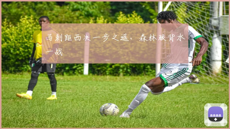 马刺距西决一步之遥，森林狼背水一战