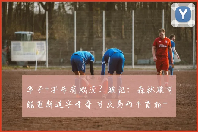 华子+字母有戏没？狼记：森林狼可能重新追字母哥 可交易两个首轮