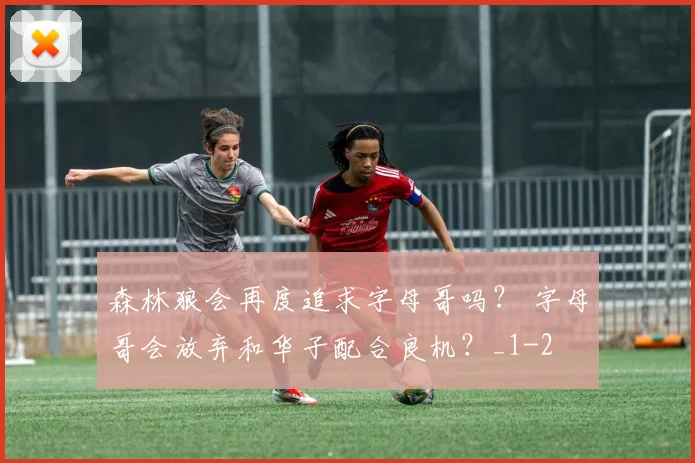 森林狼会再度追求字母哥吗？ 字母哥会放弃和华子配合良机？_1