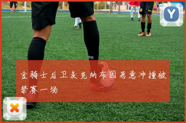 金骑士后卫麦克纳布因恶意冲撞被禁赛一场