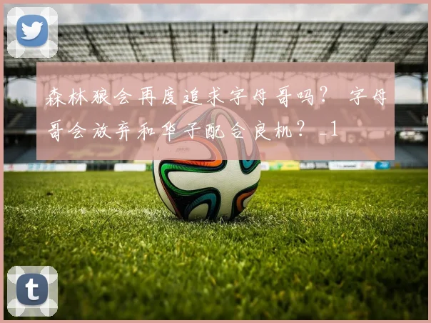森林狼会再度追求字母哥吗？ 字母哥会放弃和华子配合良机？_1