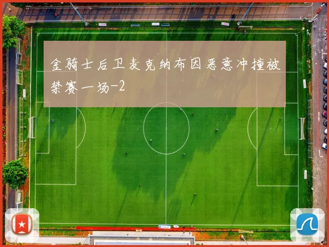 金骑士后卫麦克纳布因恶意冲撞被禁赛一场